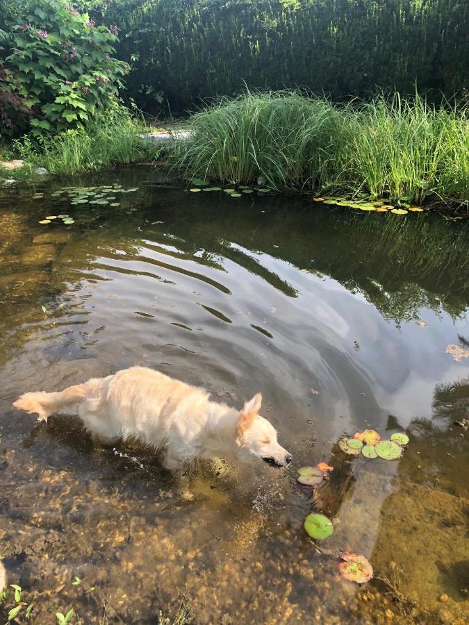 Millies Hosting - Familienurlaub Mit Hund In Kaernten Sankt Paul im Lavanttal Ngoại thất bức ảnh