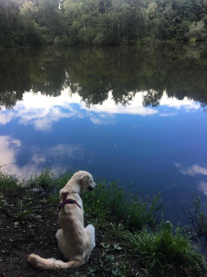 Millies Hosting - Familienurlaub Mit Hund In Kaernten Sankt Paul im Lavanttal Ngoại thất bức ảnh