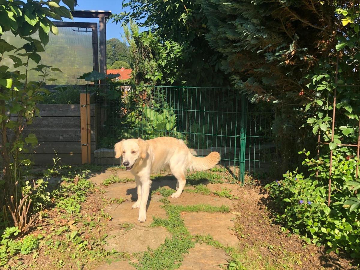 Millies Hosting - Familienurlaub Mit Hund In Kaernten Sankt Paul im Lavanttal Ngoại thất bức ảnh