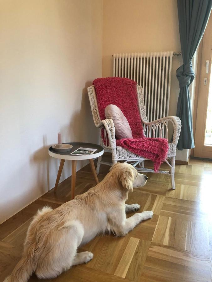 Millies Hosting - Familienurlaub Mit Hund In Kaernten Sankt Paul im Lavanttal Ngoại thất bức ảnh