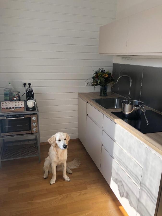 Millies Hosting - Familienurlaub Mit Hund In Kaernten Sankt Paul im Lavanttal Ngoại thất bức ảnh