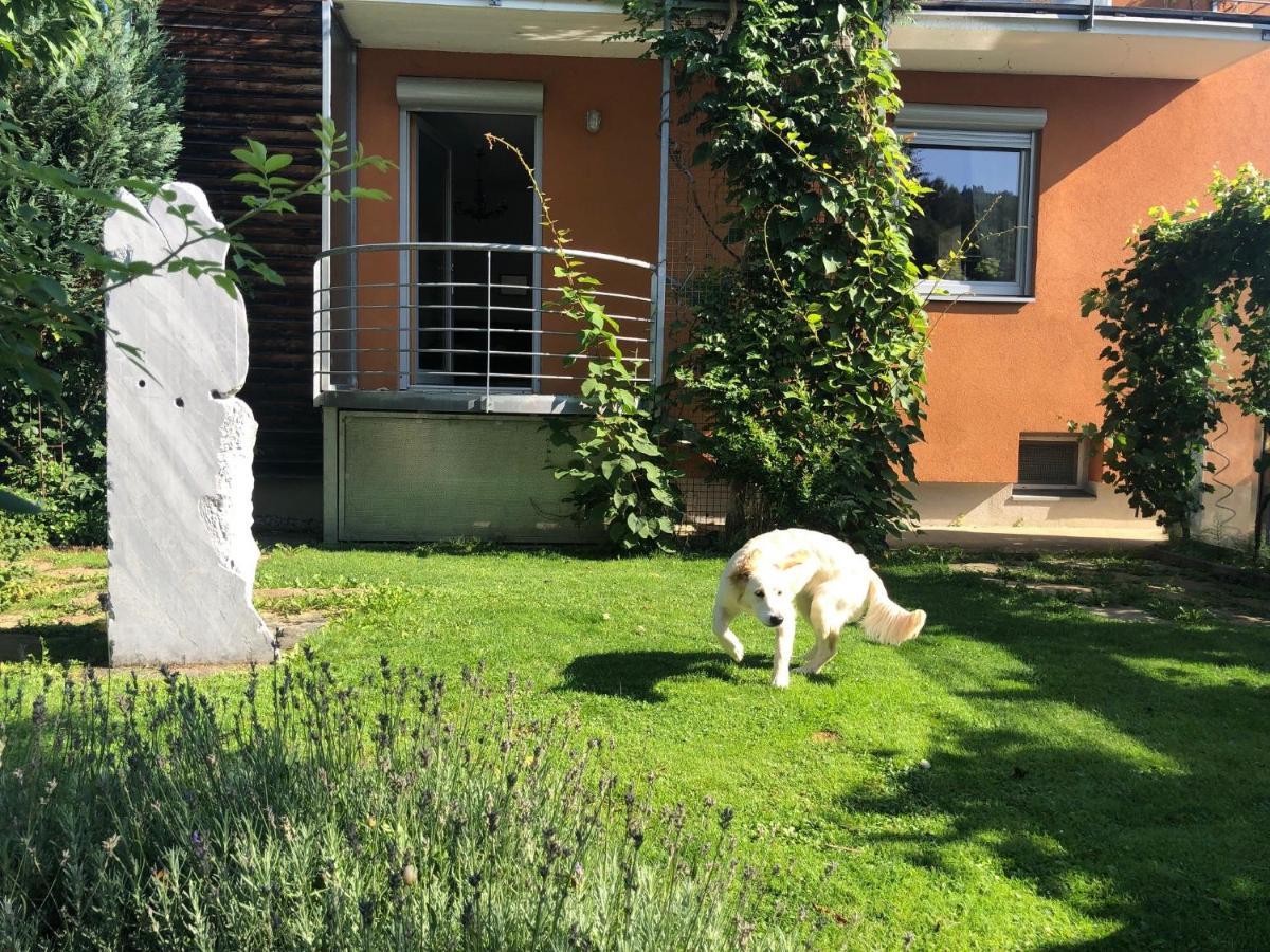 Millies Hosting - Familienurlaub Mit Hund In Kaernten Sankt Paul im Lavanttal Ngoại thất bức ảnh
