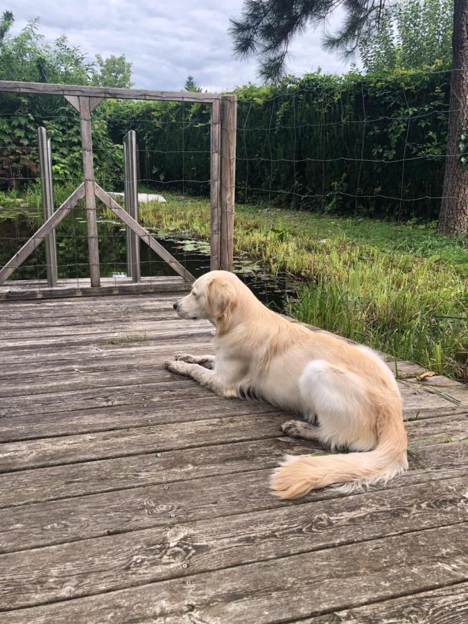 Millies Hosting - Familienurlaub Mit Hund In Kaernten Sankt Paul im Lavanttal Ngoại thất bức ảnh