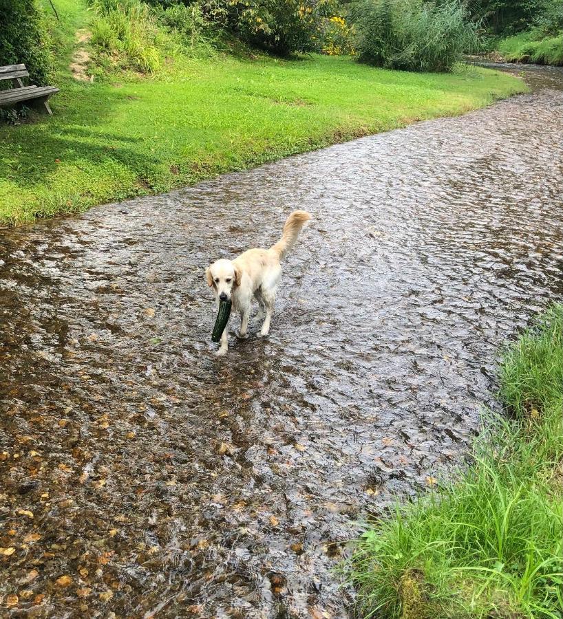 Millies Hosting - Familienurlaub Mit Hund In Kaernten Sankt Paul im Lavanttal Ngoại thất bức ảnh
