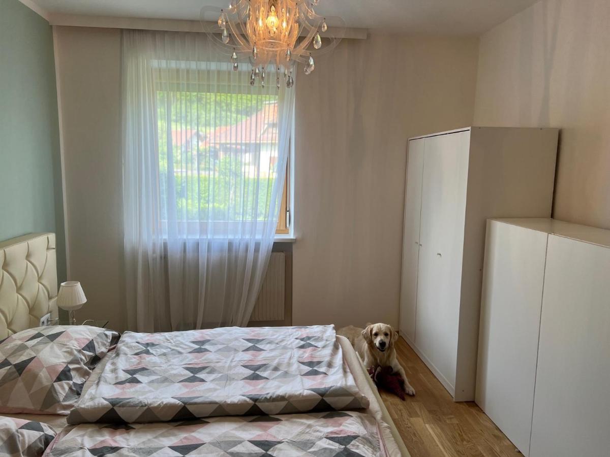 Millies Hosting - Familienurlaub Mit Hund In Kaernten Sankt Paul im Lavanttal Ngoại thất bức ảnh
